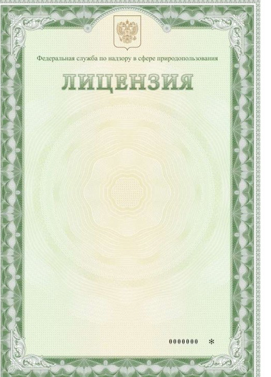Лицензия